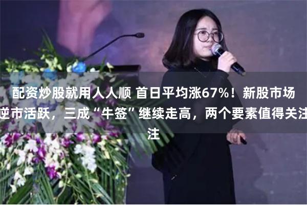 配资炒股就用人人顺 首日平均涨67%!新股市场逆市活跃,三成“牛签”继续走高,两个要素值得关注