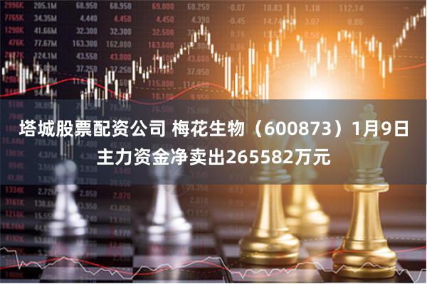 塔城股票配资公司 梅花生物（600873）1月9日主力资金净卖出265582万元