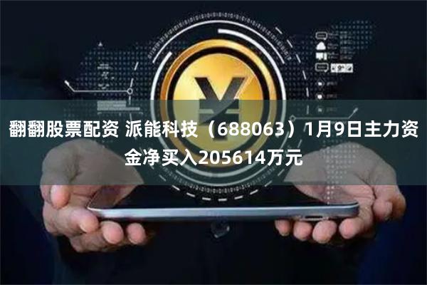 翻翻股票配资 派能科技(688063)1月9日主力资金净买入205614万元