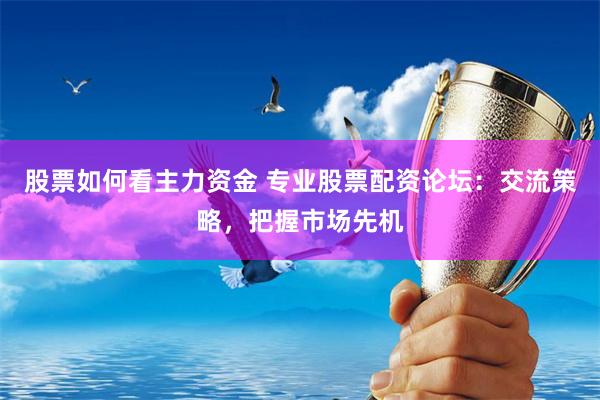 股票如何看主力资金 专业股票配资论坛：交流策略，把握市场先机